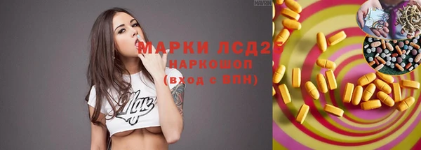 стаф Алексин