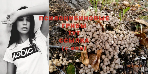 стаф Алексин