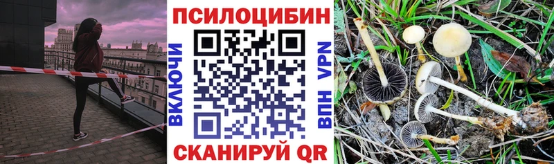Галлюциногенные грибы Cubensis  Ленинск-Кузнецкий 