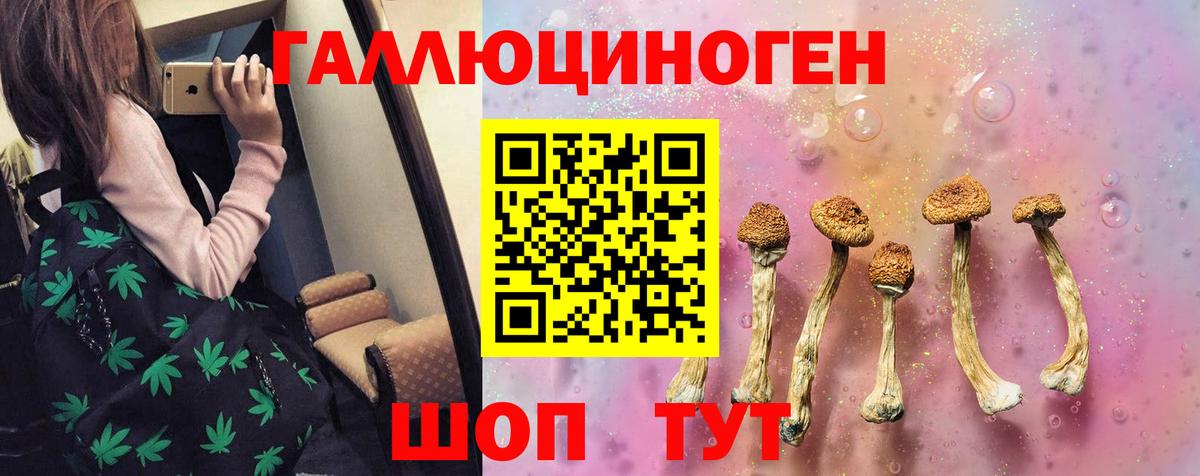 Галлюциногенные грибы Psilocybine cubensis  Галлюциногенные грибы MAGIC MUSHROOMS  Ленинск-Кузнецкий  Вход с VPN 